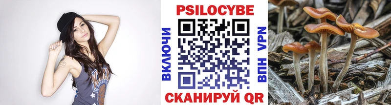 сколько стоит  Холм  Галлюциногенные грибы Magic Shrooms 